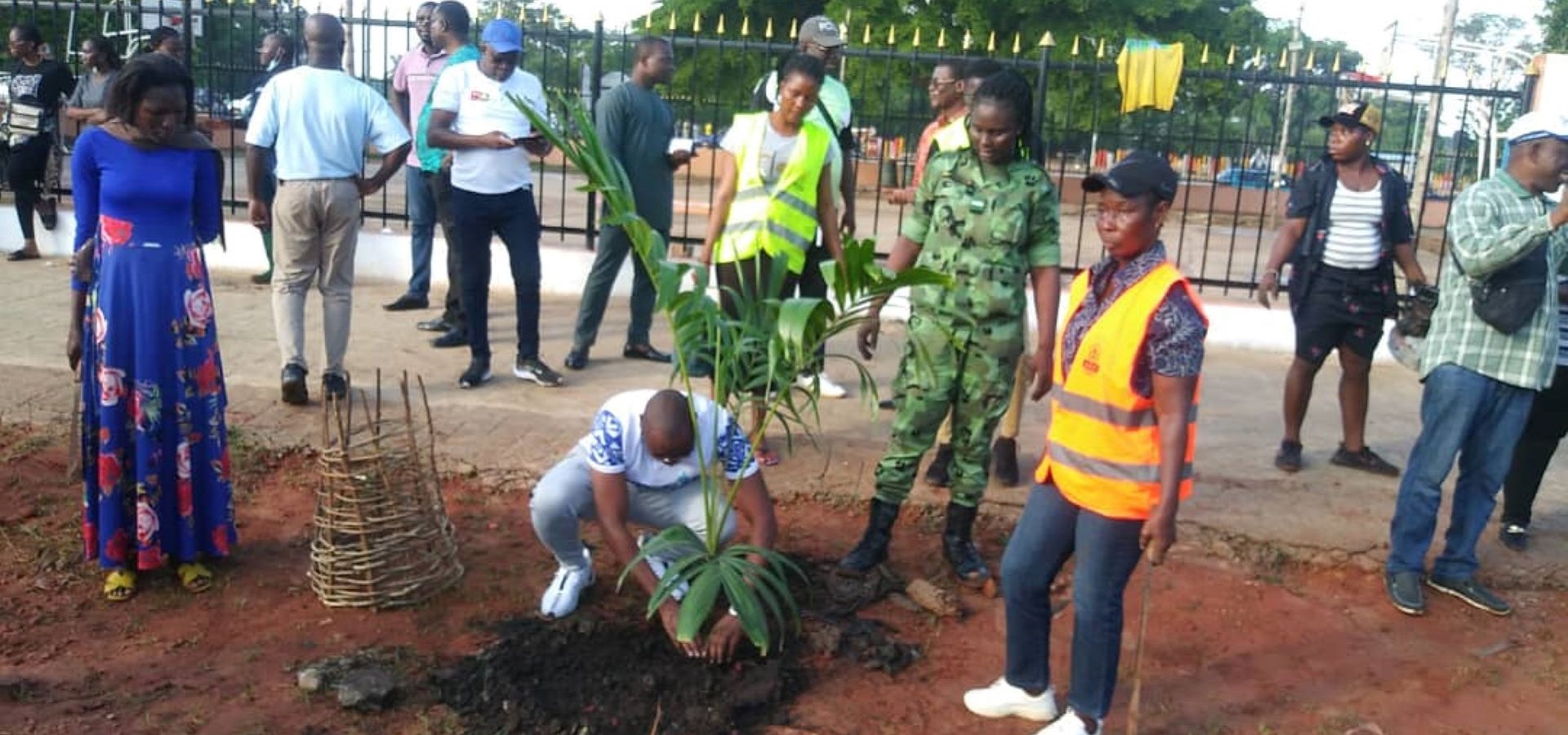 Commémoration de la journée de l'arbre au Togo 1er juin 2024